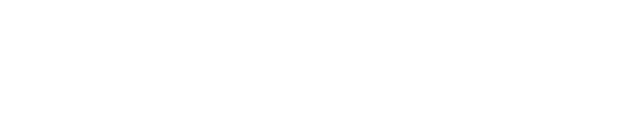 StandardRL logo